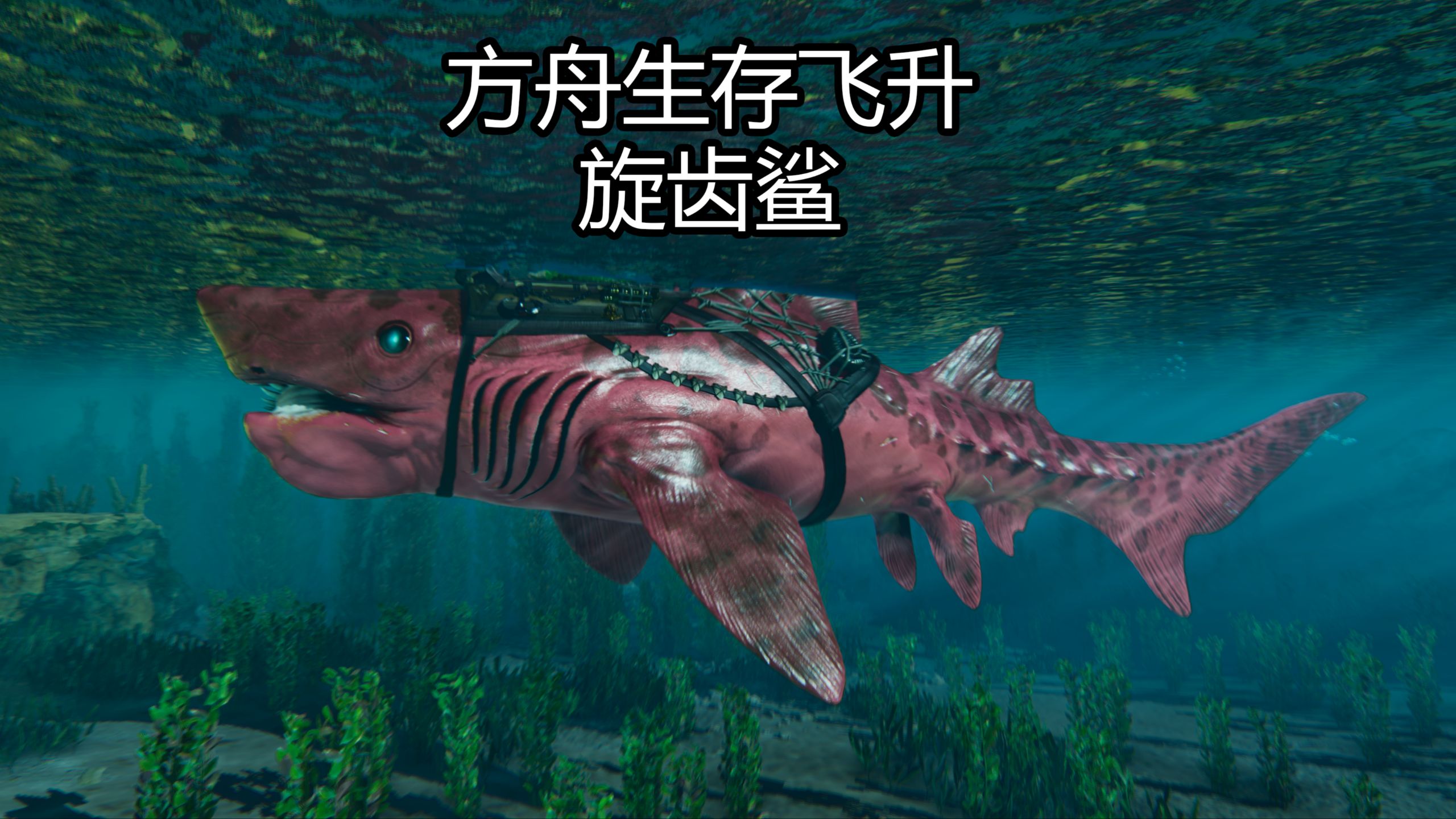 方舟生存飞升旋齿鲨驯服流程介绍-玩家部落
