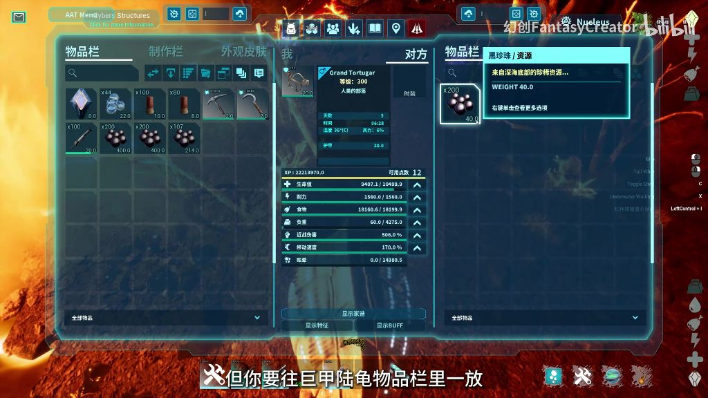 黑珍珠采集