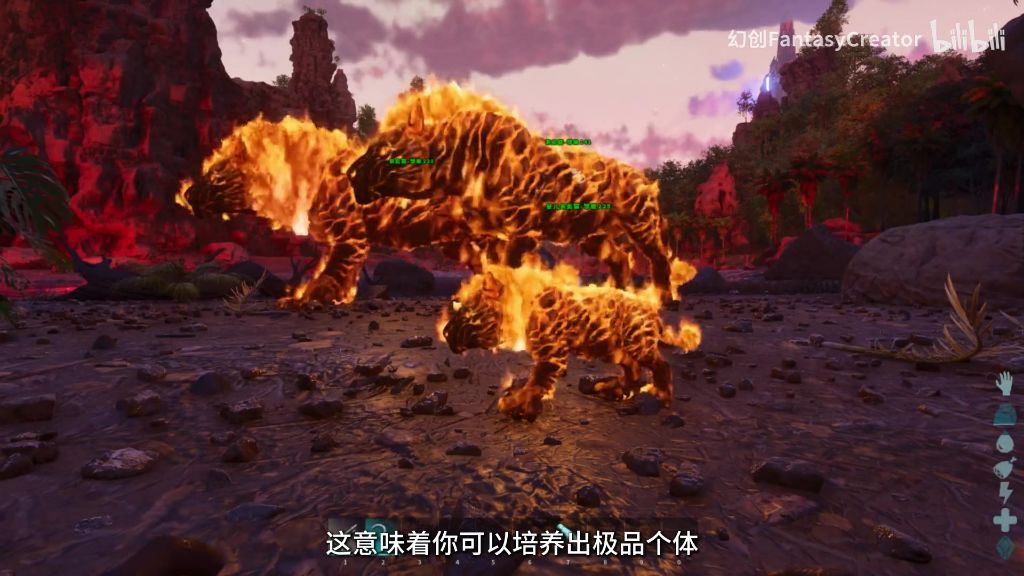 繁殖