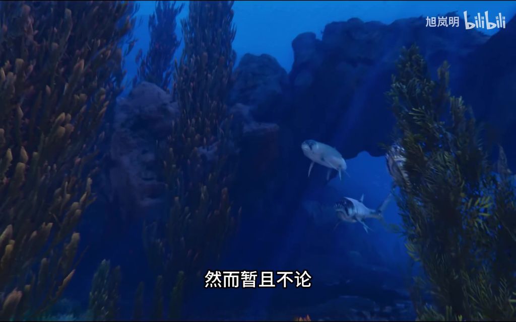 天空环境