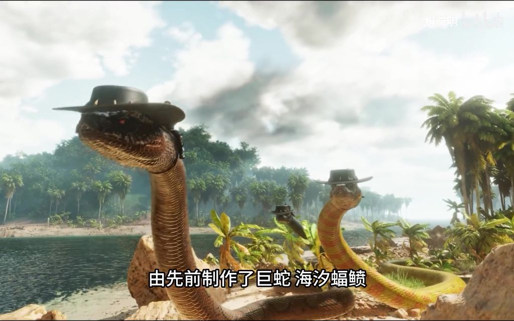 超冠鸟