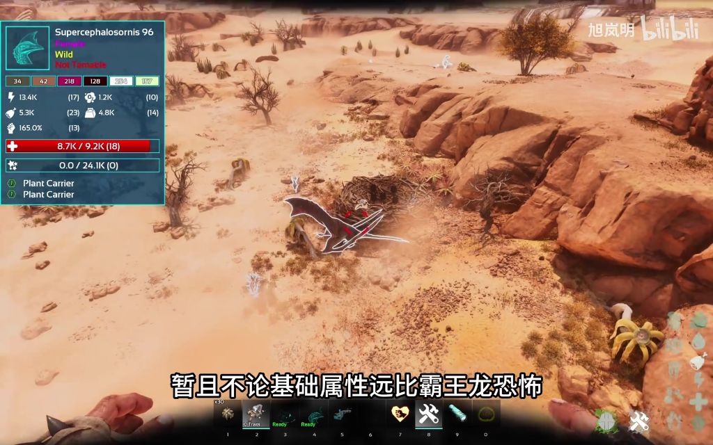 偷蛋