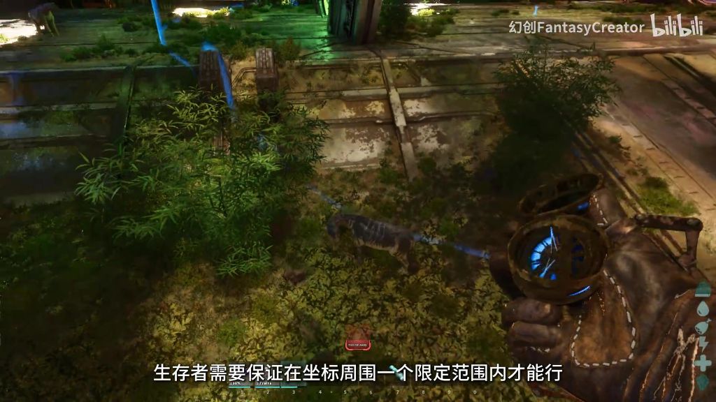 胚胎孵化