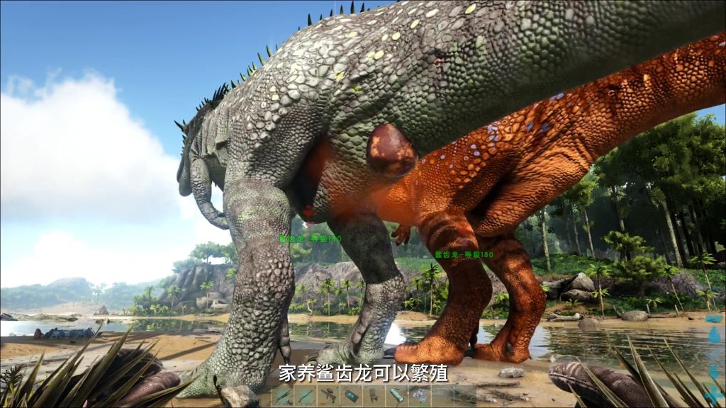 鲨齿龙相关情报